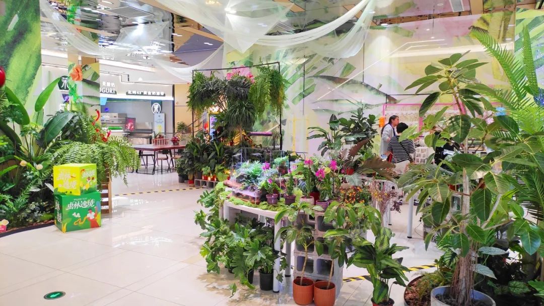 多彩联盟集团70周年庆同心启幕！天下38城80店邀您邂逅优美生涯～_多彩联盟集团官方网站