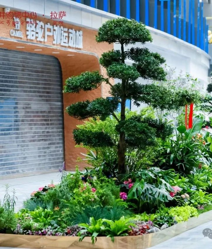 拉萨多彩联盟购物中心今日亮相“天下屋脊”_多彩联盟集团官方网站