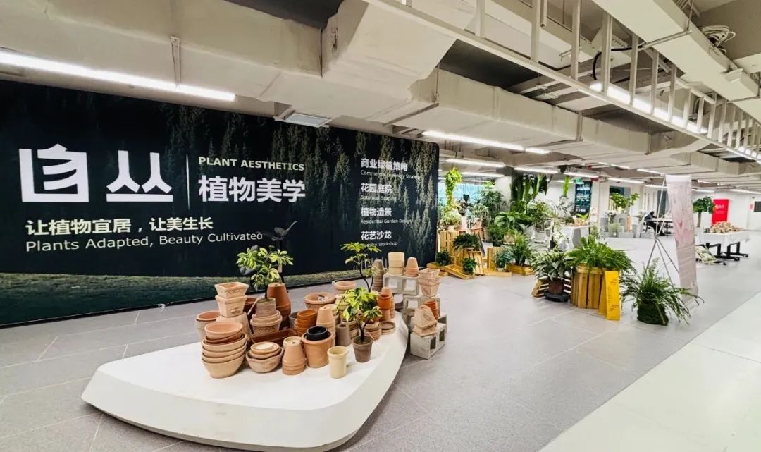 重塑?破界?配合——解码双安阛阓焕新密钥_多彩联盟集团官方网站